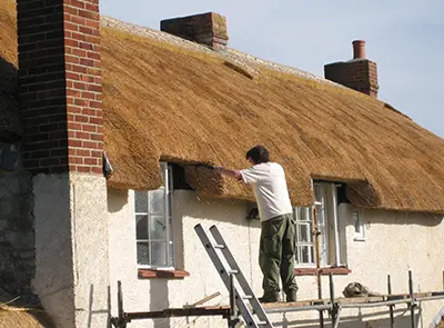 RJ Matravers Assessing Thatch condition