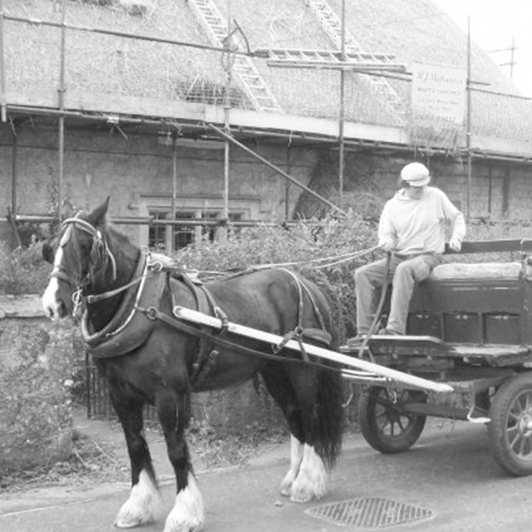 RJ-Matravers-About-reub RJ Matravers Traditional Thatching, Horse & Cart