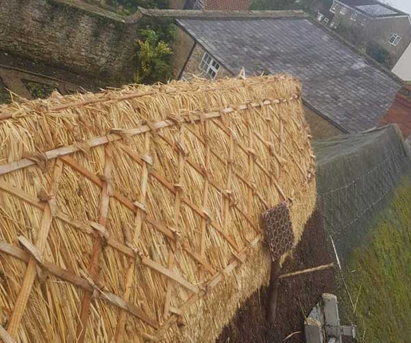 RJ-Matravers Thatch Ridge